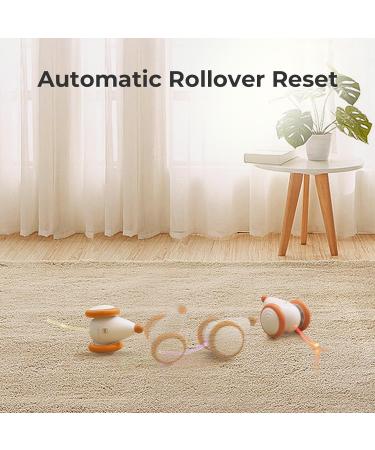 Cheerble Interactive Cat Toys for Indoor Cats Automatic Cat Toy with LED Lights  Wicked Mouse Toy USB Rechargeable Auto On & Off - Yellow - Buy Online on GoSupps.com