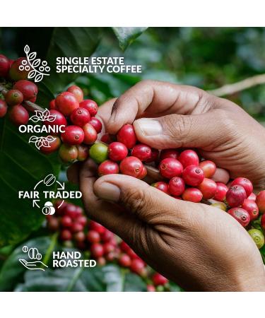 Gourmet Birthday Coffee Gift Set - 10 Finest Single Estate Specialty & Organic Coffees for Men & Women | Hamper Style Letterbox Gift Idea - Buy Online on GoSupps.com