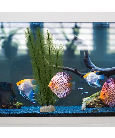 Buy Aquarium Plants Decoration - Lifelike Plastic & Artificial Aquatic Plants for Stunning Aquarium Decor - Buy Online on GoSupps.com