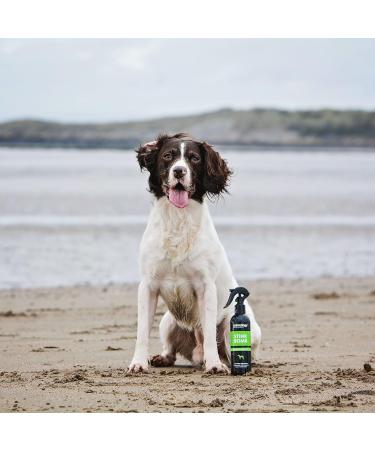 Animology Stink Bomb Deodorising Dog Spray Twin Pack 250ml - Buy Online on GoSupps.com