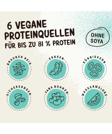 Powerstar Vegan Protein 500g - Soy-Free Sweetener & Aroma-Free Multi-Component Powder with 10 Superfoods | German Made | Nature Unsweetened - Buy Online on GoSupps.com