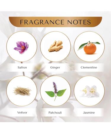 Icon Oriental Floral Fragrance Inspired by IDOLE d'ARMAN-I perfume for women - Luxurious Blend of Ginger Jasmine & Amber - Women's Perfume for Day & Evening Wear - Warm Vibrant Scent 100ml - Buy Online on GoSupps.com