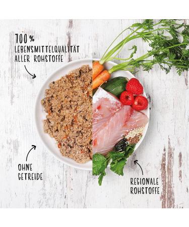 DOG'S LOVE Classic - Pack of 6 Fish Foods - Buy Online on GoSupps.com