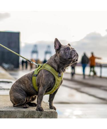 DOG Copenhagen Comfort Walk Go Dog Harness - Hunting Green Size S | International Shipping Available - Buy Online on GoSupps.com