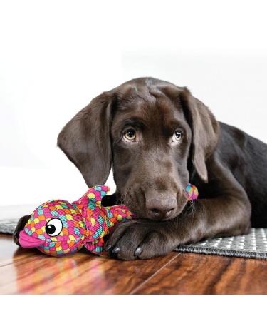 KONG Wubba Finz Blue Dog Toy X-Large 1 kg - Buy Online on GoSupps.com
