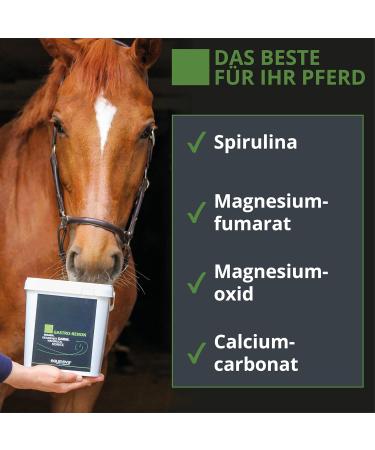 Equinova Gastro Renon 3 kg. - Buy Online on GoSupps.com