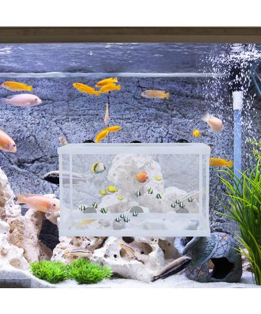 2 Pieces Fish Tank Breeder Net  Akamino Large Fish Breeder Isolation Box  Plastic Frame Hatching Box Separation Net Breeding Box with Suction Cup for Aquarium - Buy Online on GoSupps.com