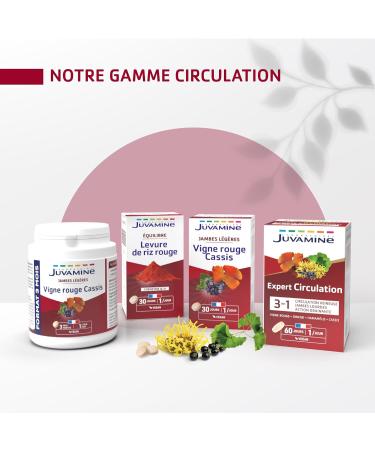 JUVAMINE - Light Legs - Red Blackcurrant Vine - Promotes Circulatory Well-Being - Action on the Venous System of the Legs - 30 days program - Made in France - Buy Online on GoSupps.com