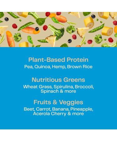 Buy Amazing Grass Protein Superfood Pure Vanilla 12 oz | Nutrient-Dense Plant Protein - Buy Online on GoSupps.com