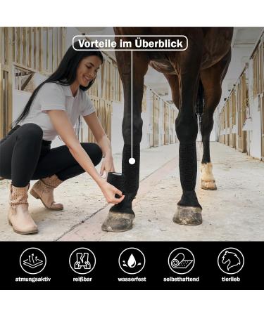 Nilo Self-Adhesive Association - 12 Rolls 7.5cm x 4.5m | Breathable & Elastic Self-Adhering Bandage for Animals & Humans - Color Mix - Buy Online on GoSupps.com