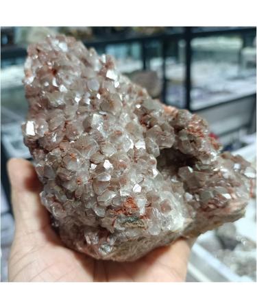 Crystal Cluster Natural Mushroom Calcite Quartz Crystal Specimen Ment Home Degaussing Decoration Gem Gift ningxiao (Size : 800-900g) - Buy Online on GoSupps.com
