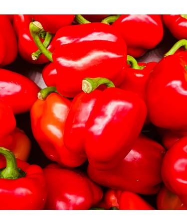 Smoked sweet paprika 100 g - LA PLANTIGO - Buy Online on GoSupps.com