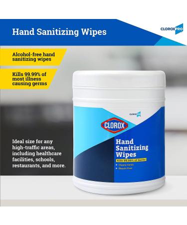 Clorox Pro Hand Wipes 270 Ct | Alcohol-Free BZK Formula | Travel Size Hand Sanitizer Wipes - Buy Online on GoSupps.com