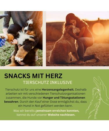 Pawnutrio Prebiotics Dog Snacks - 100% Natural Grain-Free Digestion Treats | Relieve Diarrhea & Heartburn | 300g Can - Buy Online on GoSupps.com