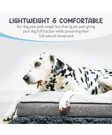 Dog Paw Grips - 24 Pack S - Indoor/Outdoor Paw Protectors for Slippery Floors - Self-Adhesive Traction Pads - Hypoallergenic Black - Buy Online on GoSupps.com