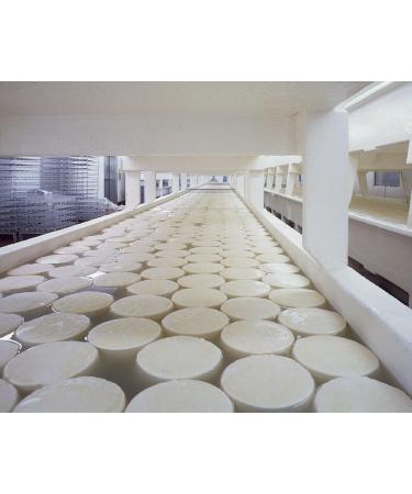 10 x 1g Microbial Rennet Sachets Use 100 Liters of Milk - Buy Online on GoSupps.com