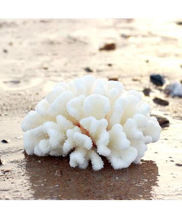 Buy Besimplle 2-Piece Artificial Coral Ornaments - Aquarium Resin Coral Decor & Underwater Sea Plants for Stunning Decor - Buy Online on GoSupps.com