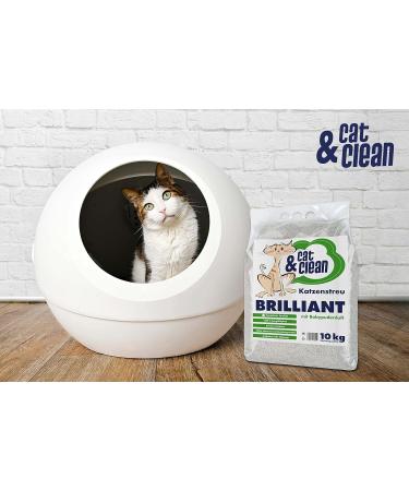 Cat & Clean CCB10 - 10 kg Baby Powder Scent Cat Litter | Premium Quality for International Shippers - Buy Online on GoSupps.com