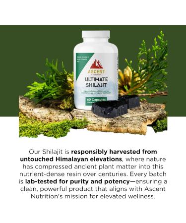 Ascent Nutrition Ultimate Shilajit | Natural Source of Fulvic & Humic Acid | Supports Balanced Electrolytes, Healthy Energy Levels and Gut Health | 60 Capsules - Buy Online on GoSupps.com