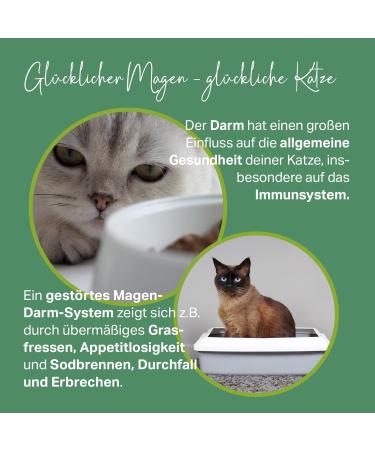 MEDICAT Premium Elm Bark Paste for Cats 200g | Relieves Heartburn Diarrhea & Vomiting | Natural Intestinal Cleansing - Buy Online on GoSupps.com