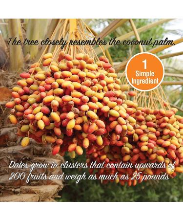 Mariani Pitted Dates | Healthy Vegan Snacks for Kids & Adults | Non GMO Gluten Free | No Sugar Added | 32 oz Resealable Bag - Buy Online on GoSupps.com