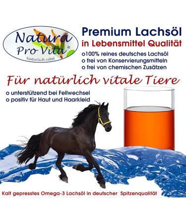 Premium Salmon Oil for Horses - Omega-3 Cold-Pressed Fish Oil for Skin & Immunity - 500ml Glass Bottle - Buy Online on GoSupps.com