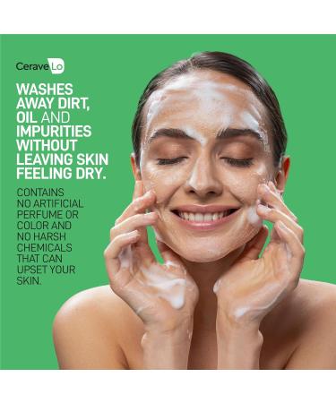 Soothing Foaming Cleanser Gel | Premium Face Wash for Normal to Oily Skin | 5-Fold Ceramides Niacinamide & Sodium Hyaluronate | Fragrance & Paraben Free - 8 Fl Oz - Buy Online on GoSupps.com