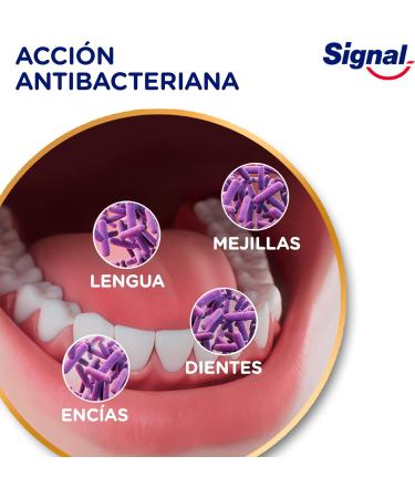  Signal Signal Integral 8 Complete Protection Toothpaste with Natural Ingredients 75ml x1 - Buy Online on GoSupps.com