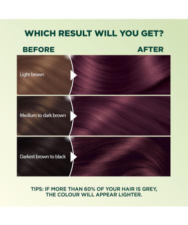 Garnier Nutrisse Ultra Cr me Permanent Hair Dye 100% Grey Coverage Vegan Formula Nourished Hair Long-Lasting Rich Colour 42 Deep Burgundy 1 Application Packaging May Vary RED SHADES 42 Deep Burgundy - Buy Online on GoSupps.com
