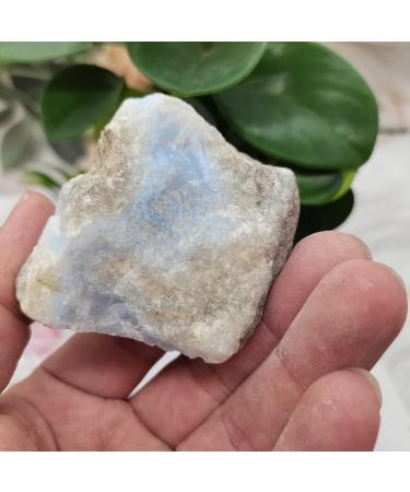 Natural Crystal Rough Specimen Natural Blue Kyanite Crystal Stone Specimens ReikiRock Stones Cluster Collection StoneStone Full of Texture (Size : 90-120g) - Buy Online on GoSupps.com