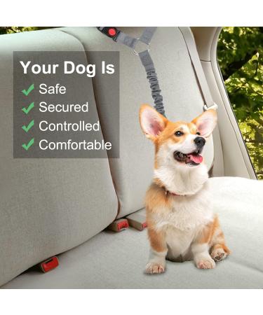 Beaface Headrest Dog Car Seat Belt Pet Car Seat Belt Lead Adjustable Elastic Car Harness Seat Belts for Dogs Cats Pets in Car Strong Nylon Bungee Buffer Dog Car Harnesses (Grey) - Buy Online on GoSupps.com