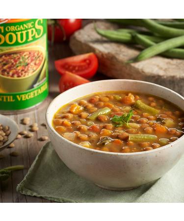 Organic Vegan Gluten-Free Lentil Vegetable Soup - Amy's 14.5 oz (Pack of 12) - Buy Online on GoSupps.com