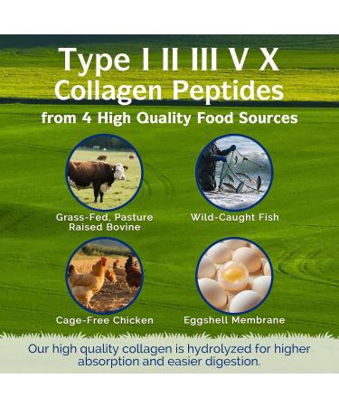 Innate Vitality Collagen Peptides for Women & Men Biotin Hyaluronic Acid Turmeric Keratin Vitamin C Niacinamide Multi Collagen Peptides Type I II III V X for Skin Hair Nails 120 Caps - Buy Online on GoSupps.com