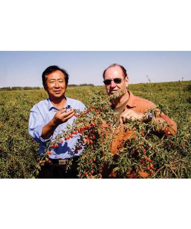 Dragon Herbs Heaven Mountain Goji Berries 8 oz - Premium Superfood for Wellness - Buy Online on GoSupps.com