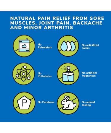 Earth's Care Triple Action Pain Relieving Ointment, No Parabens, Colors or Fragrances, Allergy-Tested 2.5 OZ. (2 Jars) - Buy Online on GoSupps.com