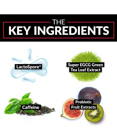 Force Factor ProbioSlim: Digestive Support & Weight Management - 60 Capsules - Buy Online on GoSupps.com