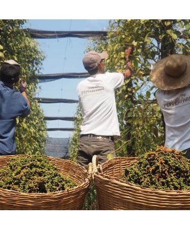  Uncle s Pepperfarm Uncle's Pepperfarm Kampot Red Pepper - Sun-dried red peppercorns - 200g - Buy Online on GoSupps.com