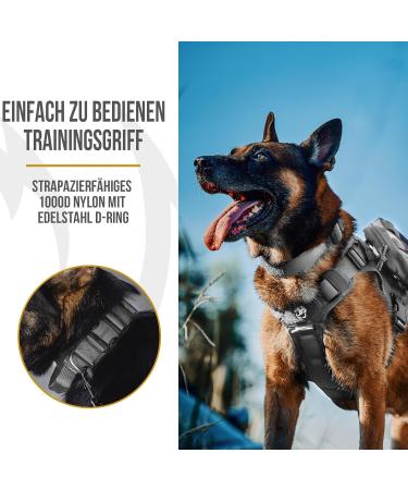 OneTigris Dog Collar with Metal Buckle for Dogs - Durable Grey LL Dog Collar for Ultimate Comfort & Style - International Shipping Available - Buy Online on GoSupps.com