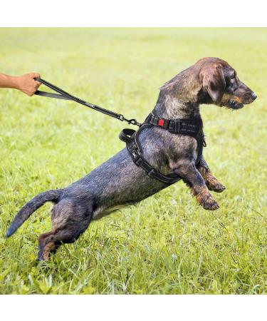 POPOT No Pull Dog Harness - Reflective Adjustable & Soft Padded Vest for XS Black Dogs | Choke-Free Comfort & Easy Control Handle - Buy Online on GoSupps.com