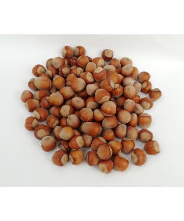 Buy IGART Hazelnuts in the Shell 20kg | Natural & Tasty | Eco Quality | Harvest 2023 - International Shipping Available - Buy Online on GoSupps.com