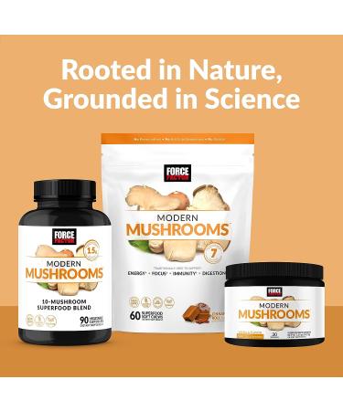 Force Factor Modern Mushrooms Powder - Energy, Focus & Immunity Supplement with Cordyceps, Turkey Tail, Chaga, Reishi, Lion's Mane, Shiitake - Vanilla Flavor - 30 Servings - Buy Online on GoSupps.com