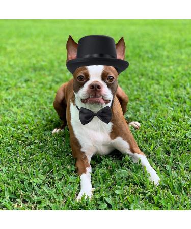 Yewong 2 Pieces Pet Formal Accessories Set - Pet Top Hat with Pet Formal Necktie/Bowtie Birthday Party Gradation Halloween Costumes Accessories for Dog Cat (Black-A) - Buy Online on GoSupps.com