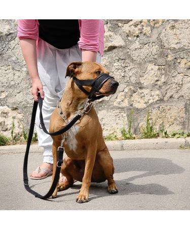 ILEPARK XXL Red Nylon Dog Muzzle - Adjustable Loop to Prevent Biting Barking & Chewing | International Shipping - Buy Online on GoSupps.com
