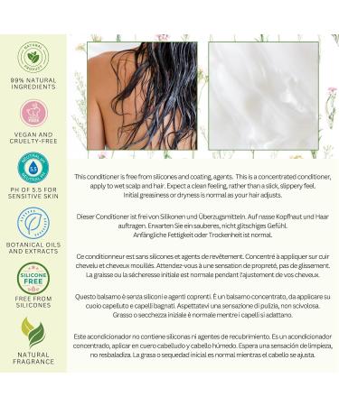 Amor Florum 250ml Natural Rinsing: Coconut Pomegranate Sea Buckthorn & Sweet Orange - Sulfate & Paraben Free pH 5.5 Balanced - Buy Online on GoSupps.com