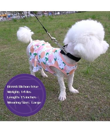 Cyeollo Lightweight Fruit Pattern Dog Dress for Small Dogs | Soft Breathable Pet Clothes for Spring & Summer - Buy Online on GoSupps.com