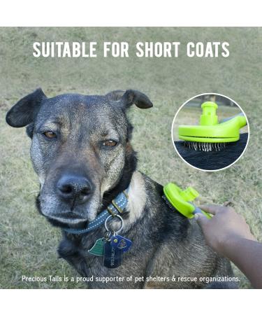 Retractable Slicker Brush for Cats and Dogs - Pet Hair Grooming Brush with Soft Grip Handle - Buy Online on GoSupps.com