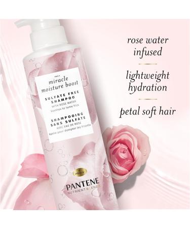 Pantene Nutrient Blends Sulfate Free Miracle Moisture Boost with Rose Water Shampoo 440 mL Unscented 440 ml (Pack of 1) - Buy Online on GoSupps.com