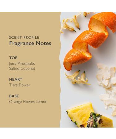 Scent-Organix I Am Bright Perfume for Men & Women - Fruity and Citrusy Scent with Notes of Pineapple Tiare Flower & Orange Flower - Non-Toxic Vegan & Biodegradable Perfume - 1.7fl Oz - Buy Online on GoSupps.com