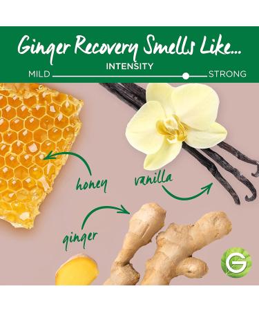 Garnier Whole Blends Strengthening Shampoo Bar - Ginger Recovery 2 Oz - For Weak Hair - 1 Count - Buy Online on GoSupps.com