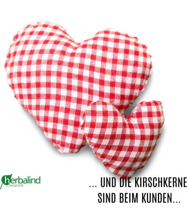 Premium 5 kg Cherry Nuclei for Pillows - Herbalind Natural & Chemical-Free Cherry Kernels - Buy Online on GoSupps.com